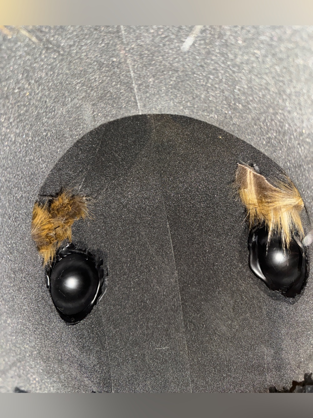 Custom Rabbit Mascot Head - Realistic David Lynch - Picture 6 of 6